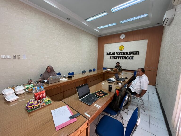 WhatsApp Image 2026-08-10 at 16.03.05